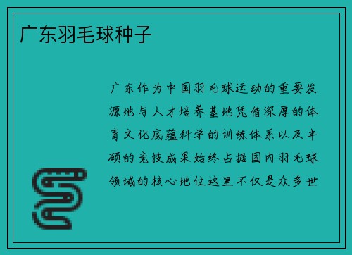 广东羽毛球种子