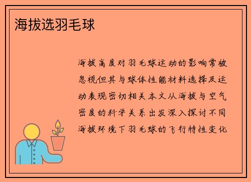 海拔选羽毛球