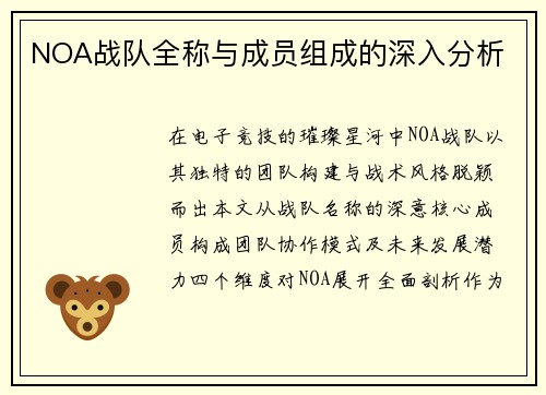 NOA战队全称与成员组成的深入分析