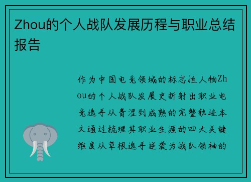 Zhou的个人战队发展历程与职业总结报告